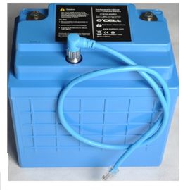 Batería 12V del fosfato del hierro del litio con la vivienda para el vehículo de E y el coche de E
